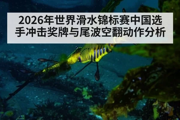 2026年世界滑水锦标赛中国选手冲击奖牌与尾波空翻动作分析